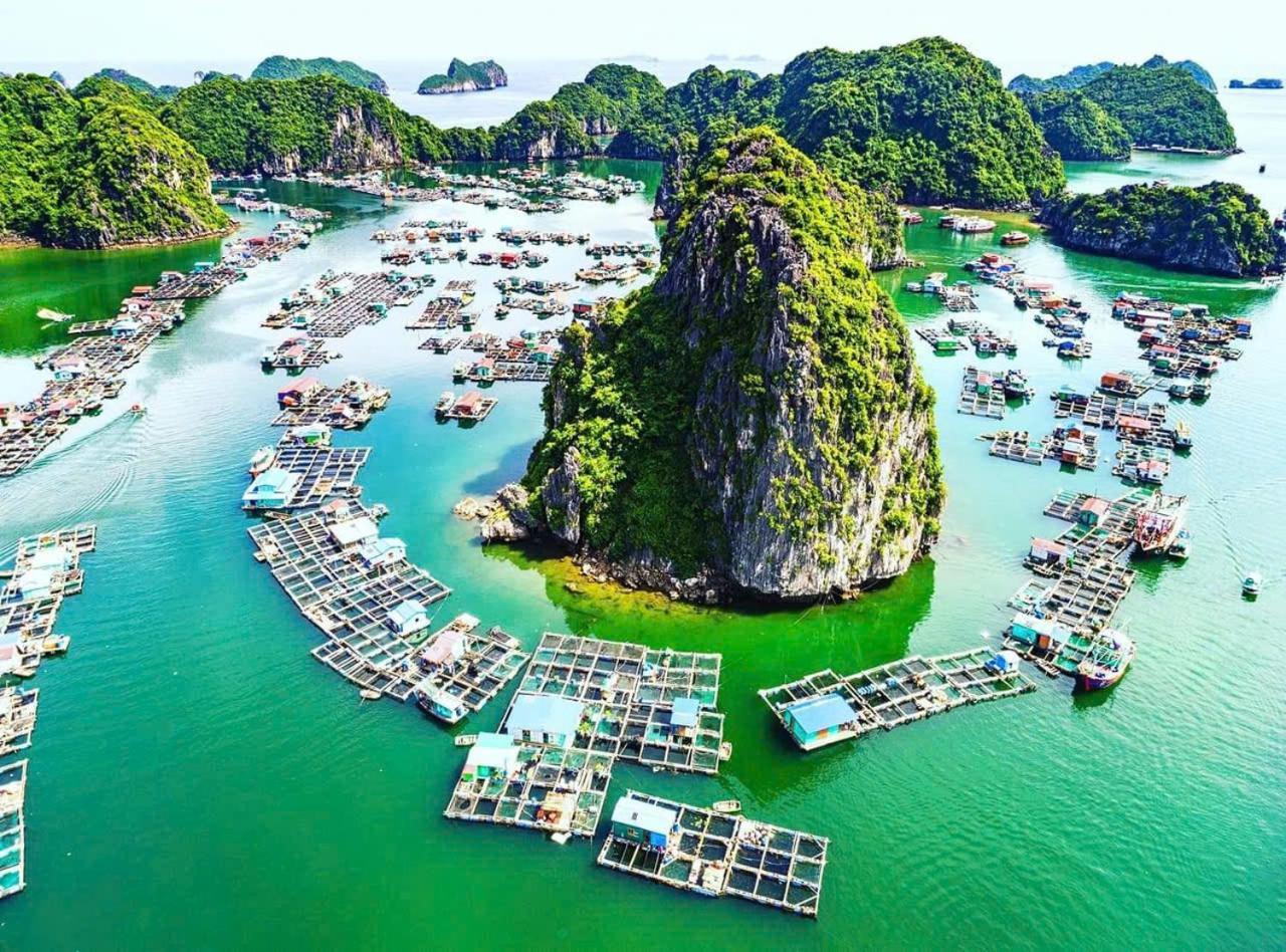 Eco Floating Cai Beo Farm stay