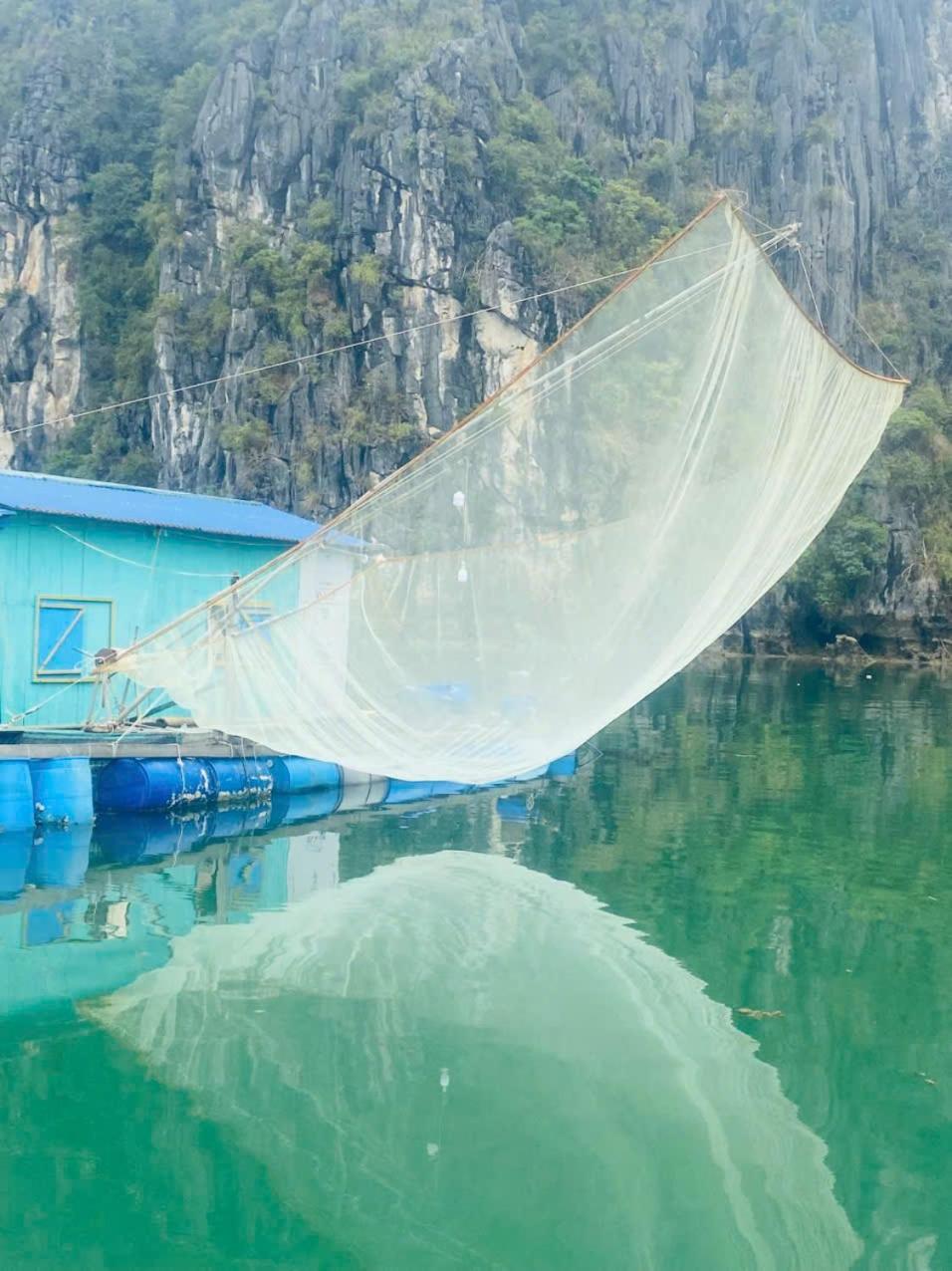 Farm stay Eco Floating Cai Beo Cat Ba Island